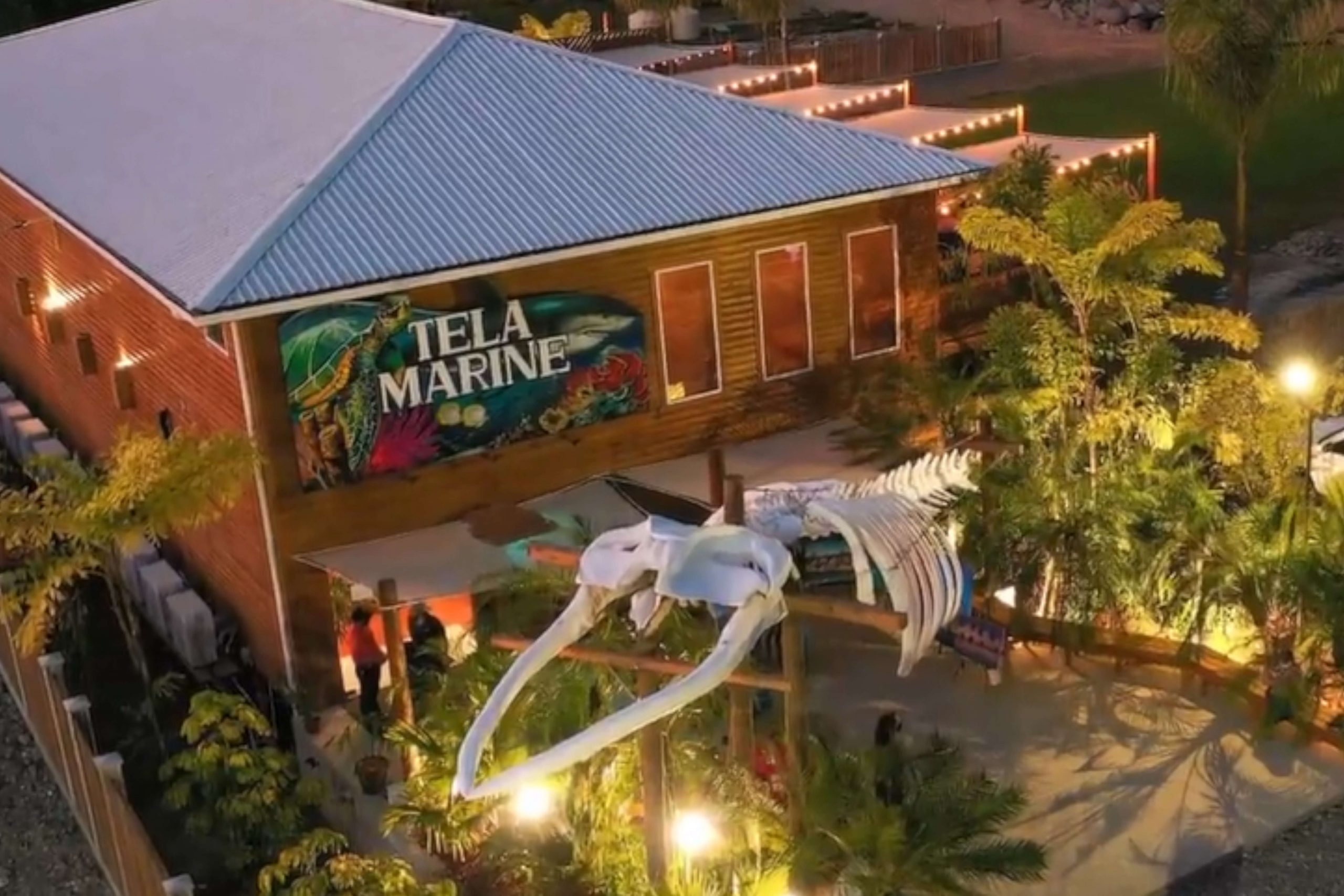 Museo Marino - Tela Marine